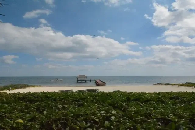 LAND FOR SALE IN PUERTO MORELOS