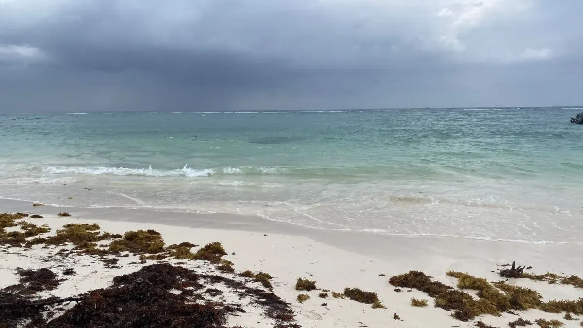 LOTE CON PLAYA EN LA RIVIERA MAYA - 1