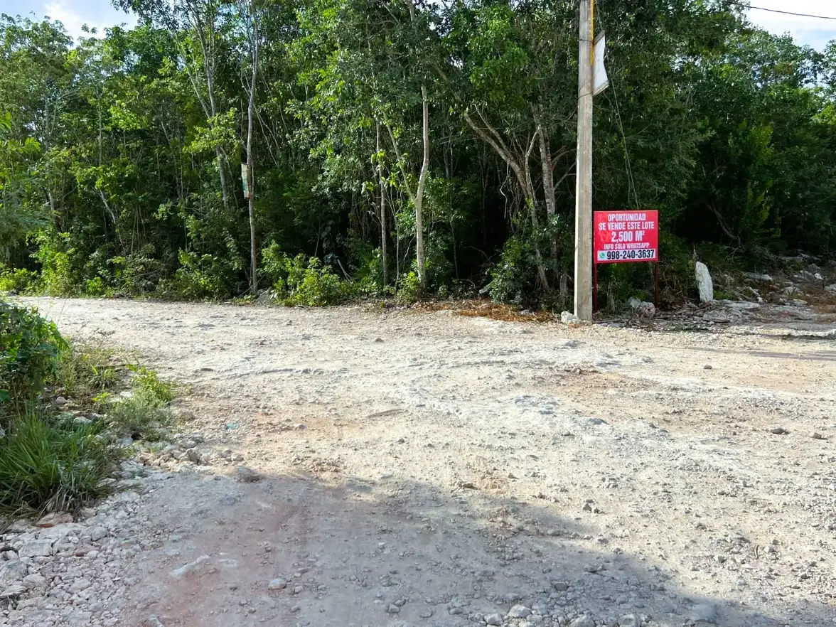 TERRENO EN AV. HUAYACAN EN VENTA - 1